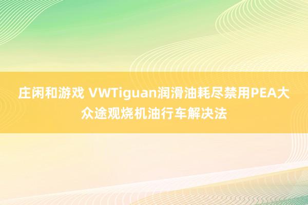 莊閑和游戲 VWTiguan潤滑油耗盡禁用PEA大眾途觀燒機油行車解決法